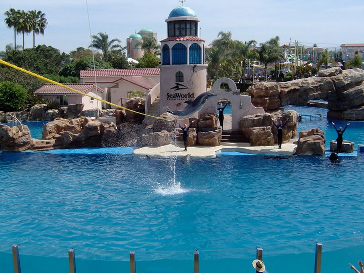 Sea World