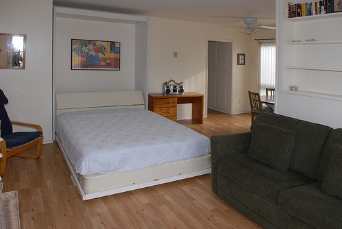 living room with Murphy bed living room with Murphy bed