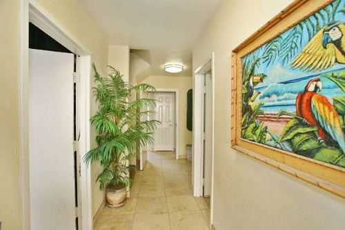 Hallway Hallway