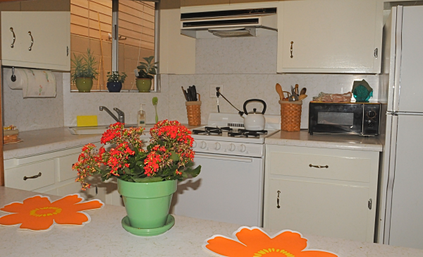 Kitchen Kitchen