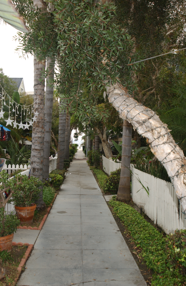 sidewalk view tropical look
