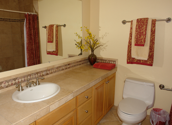 main bathroom off living room